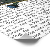 Poster Poodé rose et planche à roulettes (Coin)