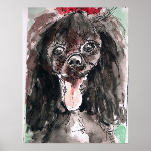 Poster Poodle (Devant)
