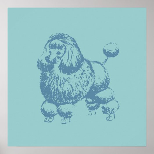 Poster Poodle (Devant)