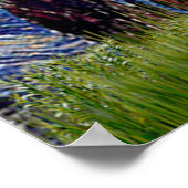 Poster Poodle (14W) - Nuit étoilée (Coin)