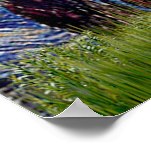 Poster Poodle (14W) - Nuit étoilée (Coin)