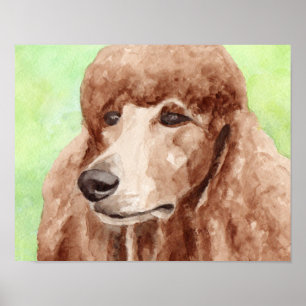 Poster Poodle à l'aquarelle