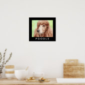 Poster Poodle à l'aquarelle (Cuisine)