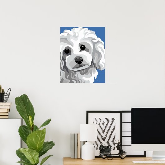 Poster Poodle blanc (Bureau à domicile)