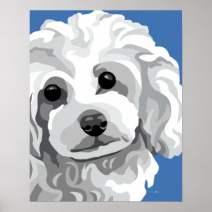 Poster Poodle blanc