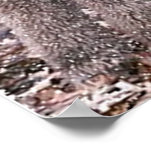 Poster Poodle (Chocolat) (Coin)