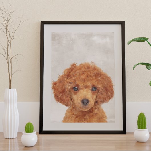 Poster Poodle de jouets