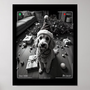 Poster Poodle de Noël pris en caméra