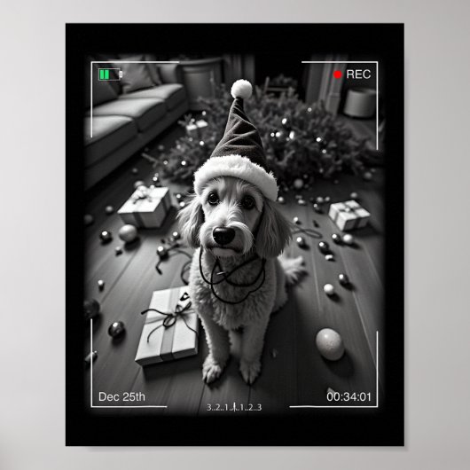 Poster Poodle de Noël pris en caméra (Devant)