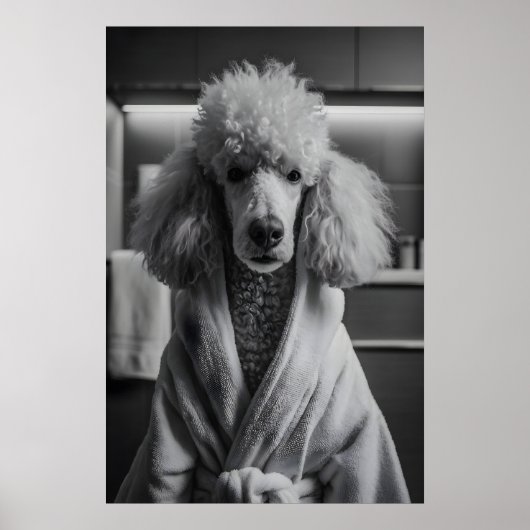 Poster Poodle in Bathrobe Art Print, Funny Dog Bathroom (Devant)