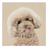 Poodle Miniature Toy Apricot Crème Chien Brown Art