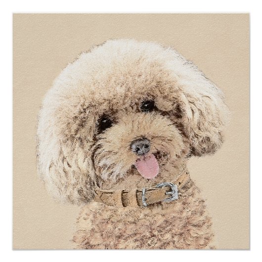 Poster Poodle Miniature Toy Apricot Crème Chien Brown Art (Devant)