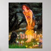 Poodle(noir 1)-MidEve