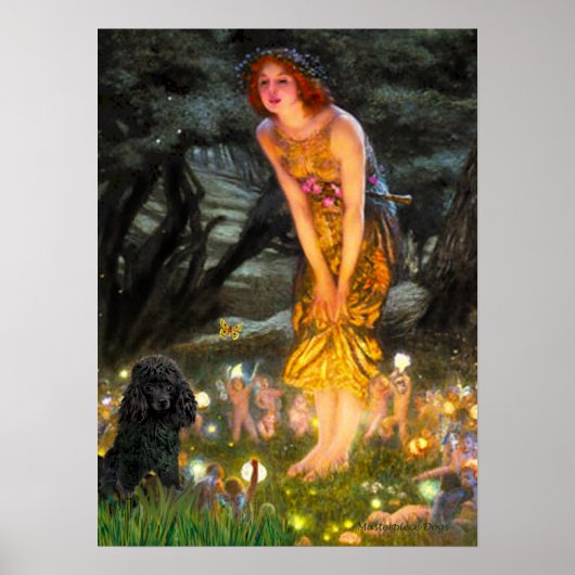 Poster Poodle(noir 1)-MidEve (Devant)