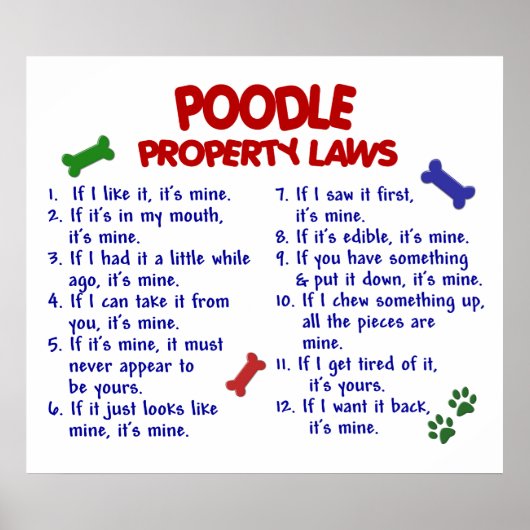POSTER POODLE PL2 (Devant)