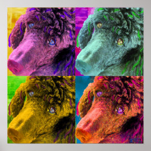 Poster Poodle Pop Art Style coloré