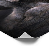 Poster Poodle Rock Art Poster/Imprimer (Coin)