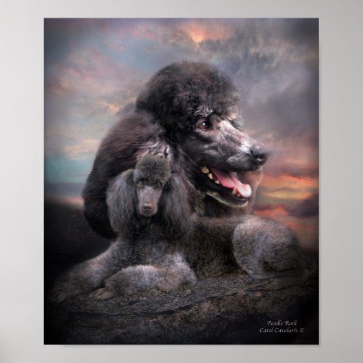 Poster Poodle Rock Art Poster/Imprimer (Devant)