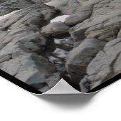 Poster Pool de rêves - Eagle falls Lac Tahoe, CA (Coin)