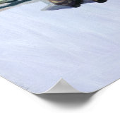 Poster Pools de défi 2001 (Coin)