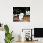 Poster Pooping Cat (Bureau à domicile)