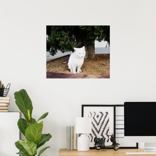 Poster Pooping Cat (Bureau à domicile)