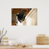 Poster Pop Art Cat (Cuisine)