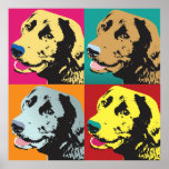 Poster Pop Art Labrador Retriever<br><div class="desc">Le visage de chien de récupération du labrador souriant dans le style emblématique Pop Art.</div>