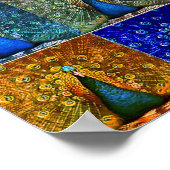 Poster pop art paon (Coin)