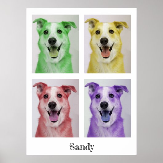 Poster Pop Art Sandy (Devant)
