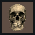 Poster Pop Art Sepia Retro<br><div class="desc">Imaginaire Art Skull Skeleton - Blue & Purple Tones Heavy Metal Punk Rock College Pop Art Image</div>