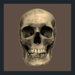 Poster Pop Art Sepia Retro<br><div class="desc">Imaginaire Art Skull Skeleton - Blue & Purple Tones Heavy Metal Punk Rock College Pop Art Image</div>