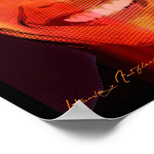 Poster Pop_Barack_Obama (Coin)