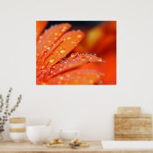 Poster Pop orange (Cuisine)