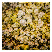 Poster Popcorn (Devant)