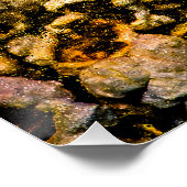 Poster Popcorn (Coin)