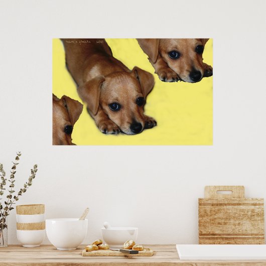 POSTER POPNOSE (Cuisine)