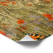 Poster Poppies (Coin)