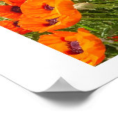 Poster Poppies (Coin)