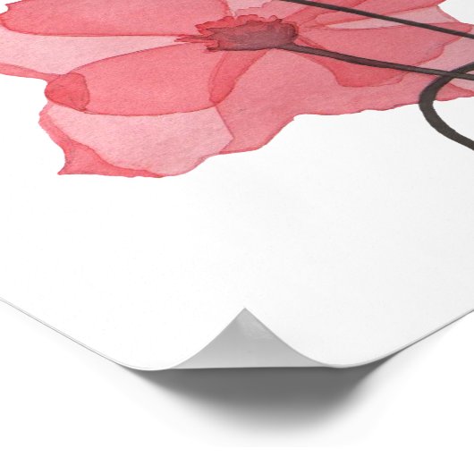 Poster Poppies (Coin)