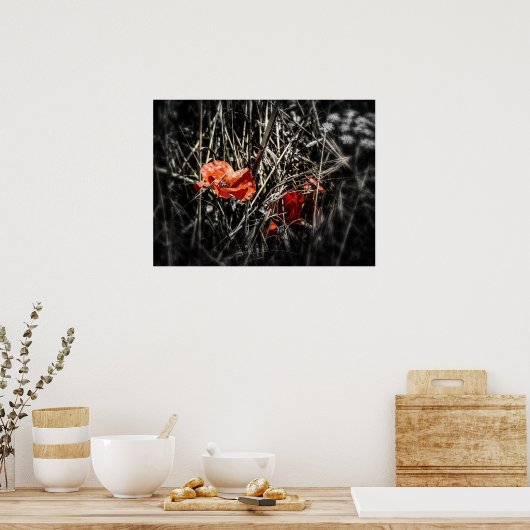 Poster Poppies (Cuisine)