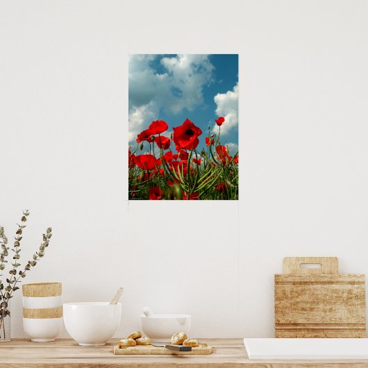 Poster Poppies (Cuisine)