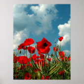 Poster Poppies (Devant)