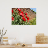 POSTER POPPIES 1 (Cuisine)