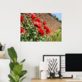 POSTER POPPIES 1 (Bureau à domicile)