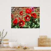 POSTER POPPIES 3 (Cuisine)