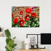 POSTER POPPIES 3 (Bureau à domicile)
