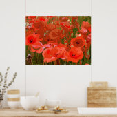 POSTER POPPIES 4 (Cuisine)