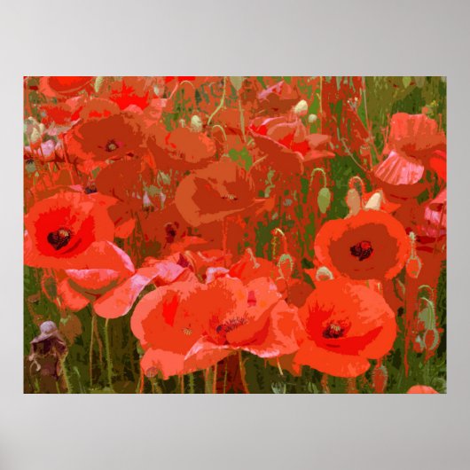 POSTER POPPIES 4 (Devant)