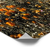 Poster Poppies de Californie - Paysage 2 (Coin)